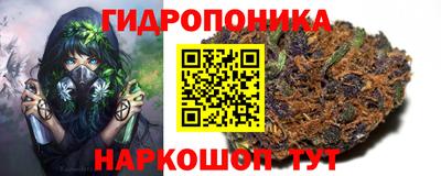 a pvp Тула