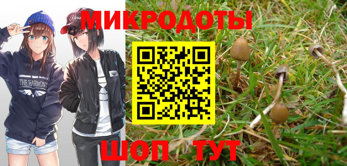 Галлюциногенные грибы Magic Shrooms Аша